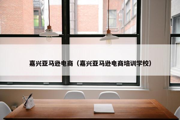 嘉兴亚马逊电商（嘉兴亚马逊电商培训学校）