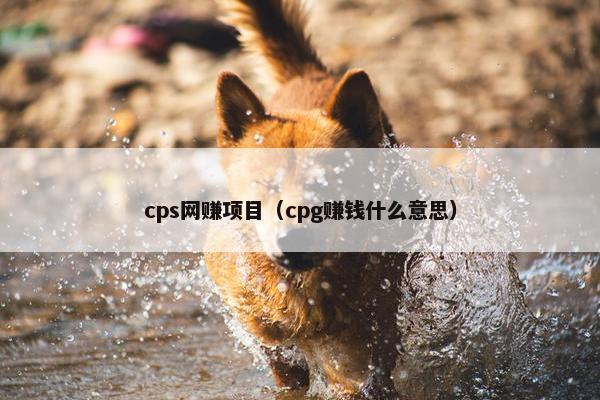 cps网赚项目（cpg赚钱什么意思）
