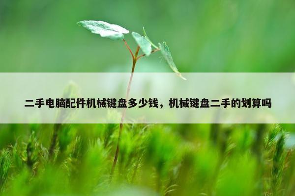 二手电脑配件机械键盘多少钱，机械键盘二手的划算吗