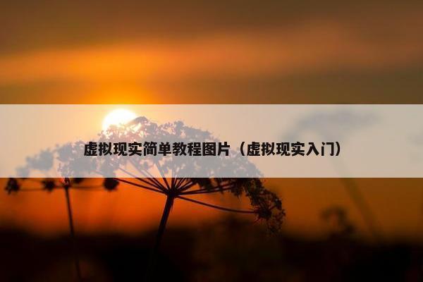 虚拟现实简单教程图片（虚拟现实入门）