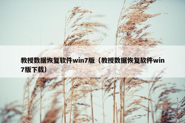 教授数据恢复软件win7版（教授数据恢复软件win7版下载）