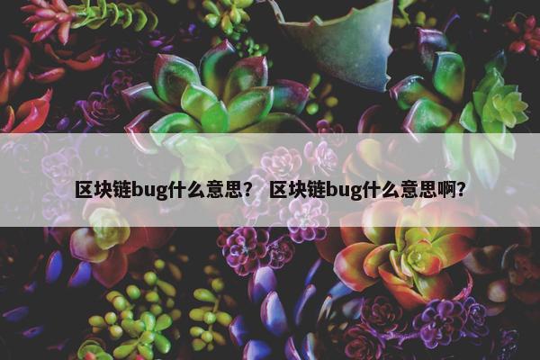 区块链bug什么意思？ 区块链bug什么意思啊？