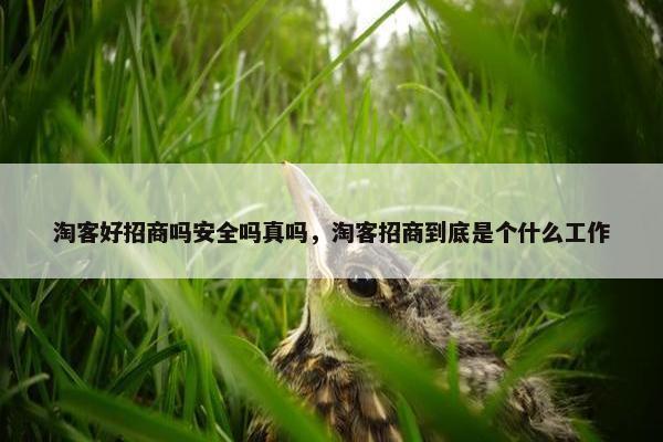 淘客好招商吗安全吗真吗，淘客招商到底是个什么工作