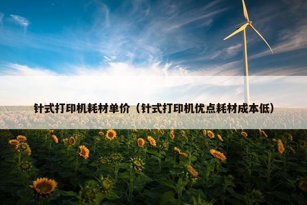 针式打印机耗材单价（针式打印机优点耗材成本低）