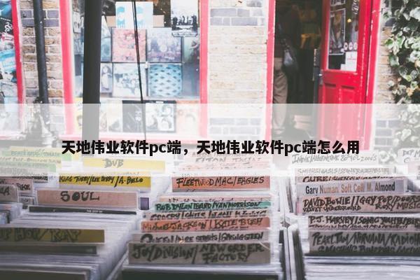 天地伟业软件pc端，天地伟业软件pc端怎么用