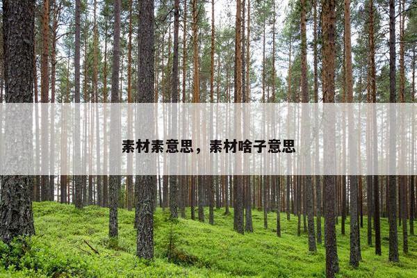 素材素意思，素材啥子意思