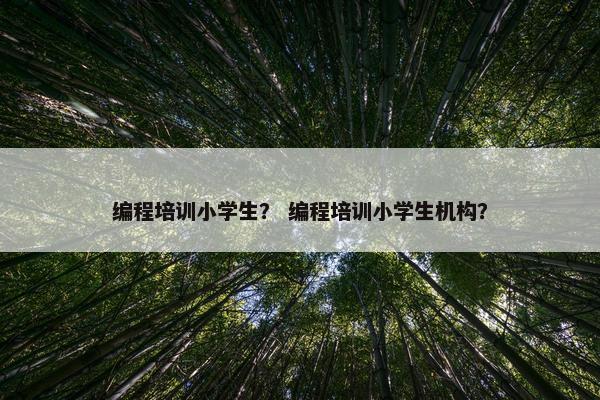 编程培训小学生？ 编程培训小学生机构？