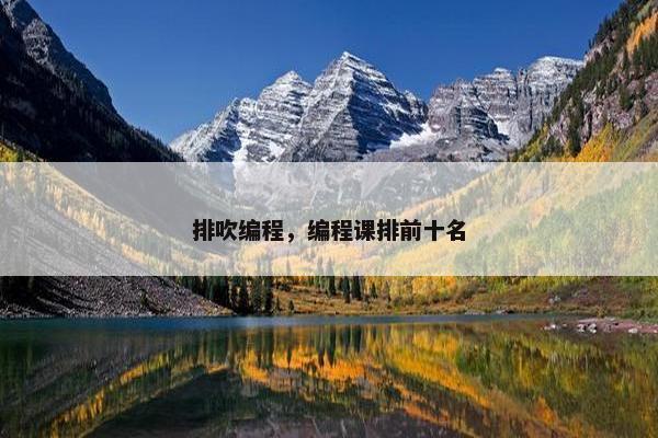 排吹编程，编程课排前十名