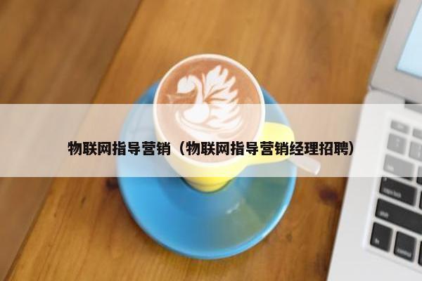 物联网指导营销（物联网指导营销经理招聘）