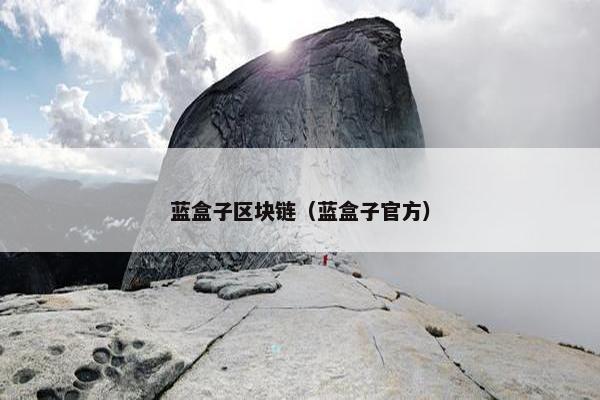 蓝盒子区块链（蓝盒子官方）