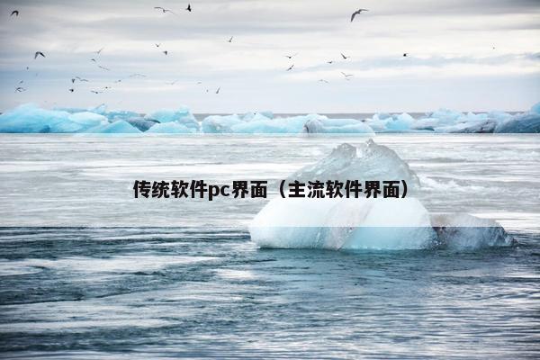 传统软件pc界面（主流软件界面）