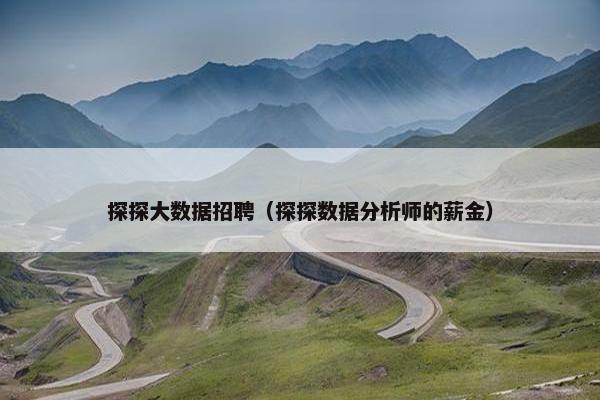 探探大数据招聘（探探数据分析师的薪金）