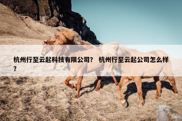 杭州行至云起科技有限公司？ 杭州行至云起公司怎么样？