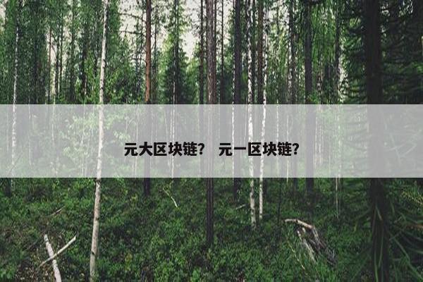 元大区块链？ 元一区块链？