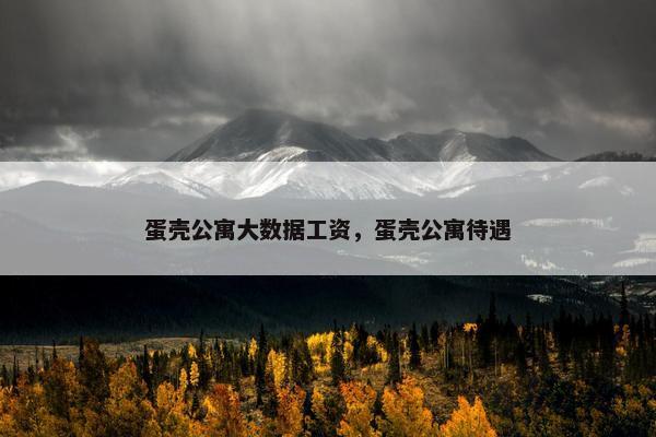 蛋壳公寓大数据工资，蛋壳公寓待遇