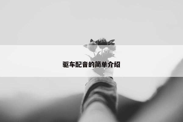 驱车配音的简单介绍