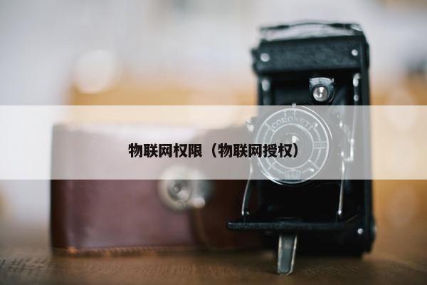 物联网权限（物联网授权）