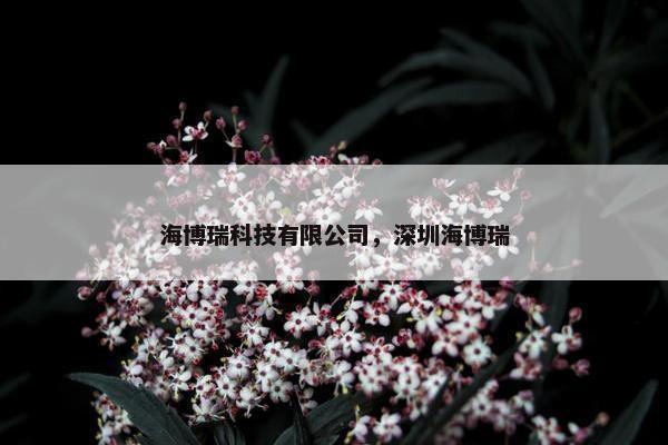 海博瑞科技有限公司，深圳海博瑞