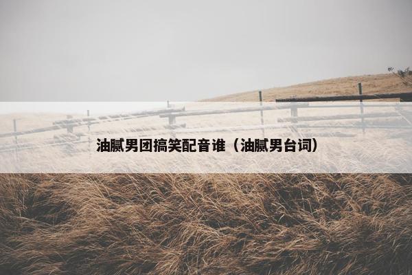 油腻男团搞笑配音谁（油腻男台词）
