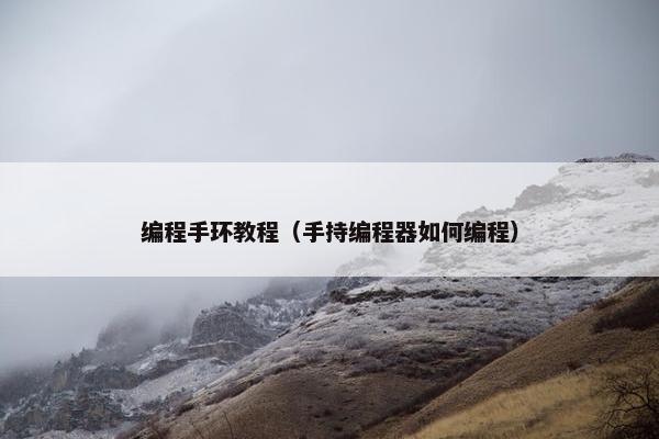 编程手环教程（手持编程器如何编程）