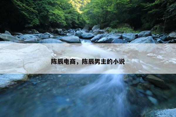 陈辰电商，陈辰男主的小说